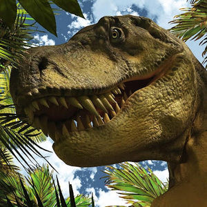 Meet your Posher, Jack